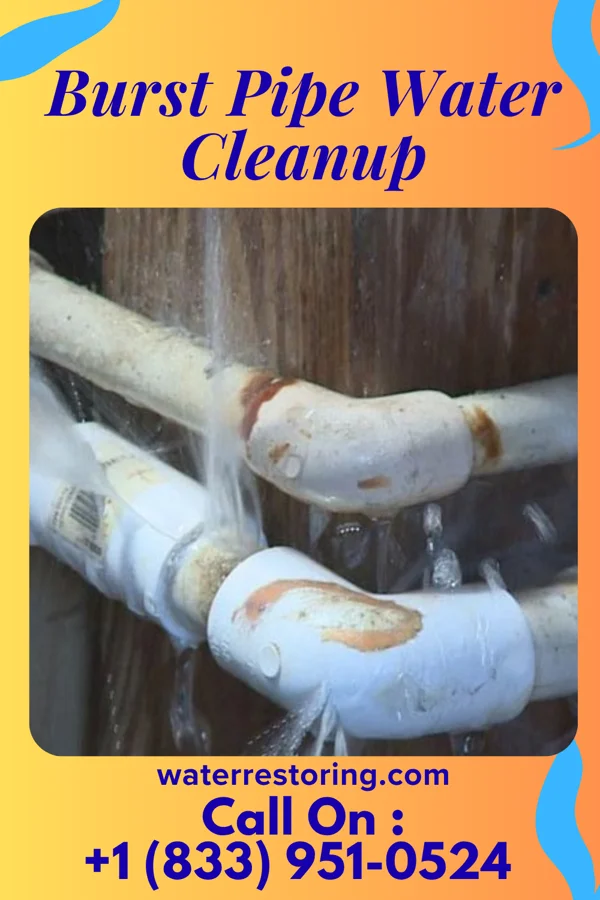 Burst Pipe Water Cleanup in Browerville, MN