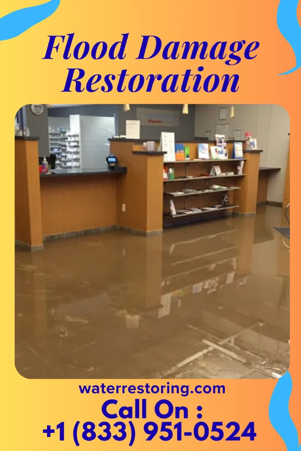 Flood Damage Restoration in Browerville, MN